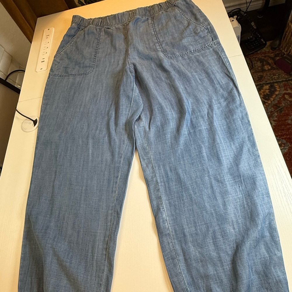 Talbot Women’s Casual Light Blue Joggers Size Large. Chambray Like fabric.‎